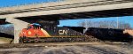 CN 3163